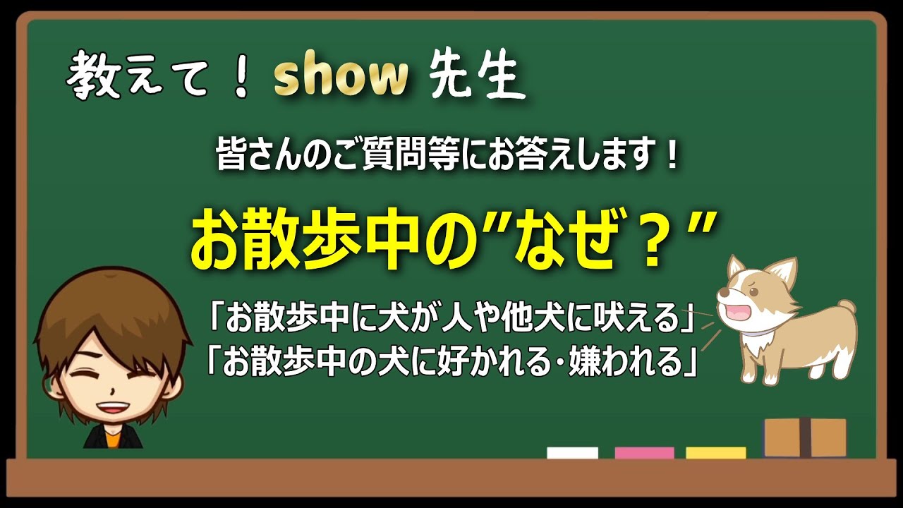 Vol.18 　皆さんのご質問等にお答えします『お散歩中の”なぜ？”』