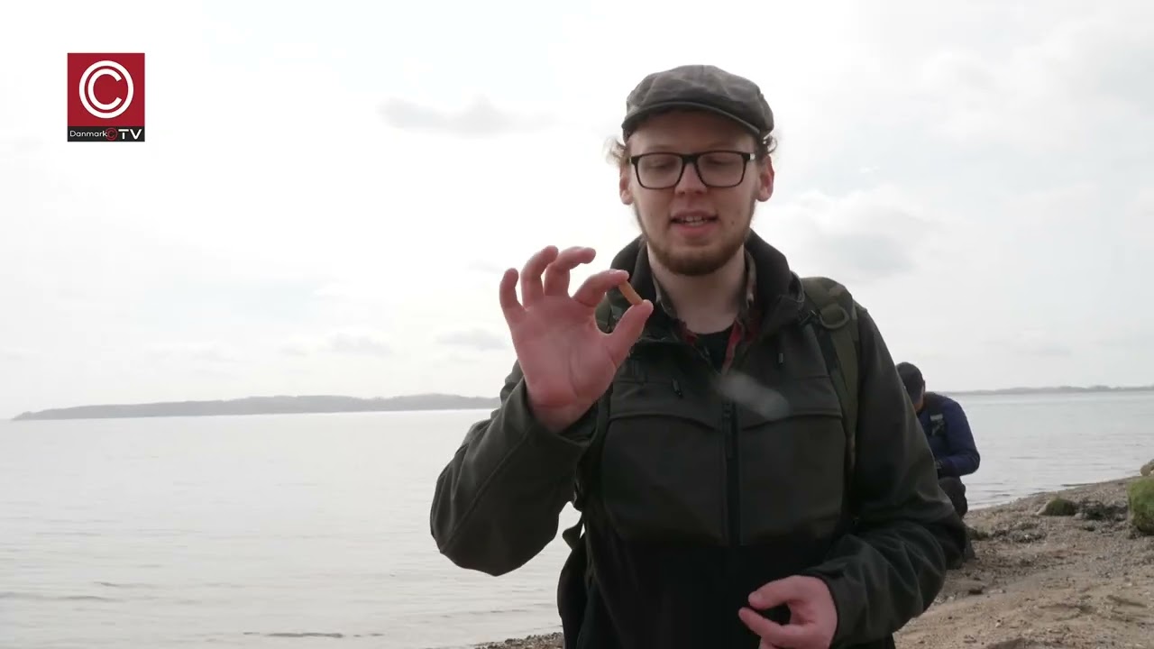 Fosiljagten er g&aring;et ind