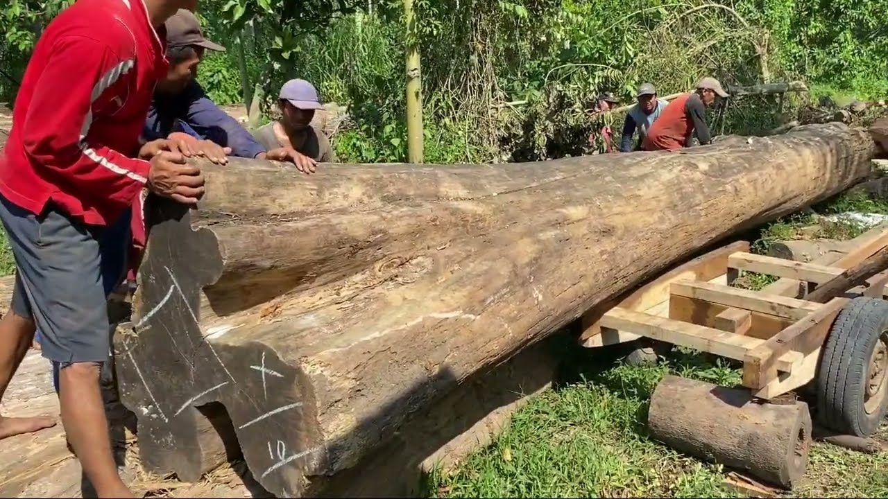 Ancient Teak Wood Relics Almost Destroyed When Sawed