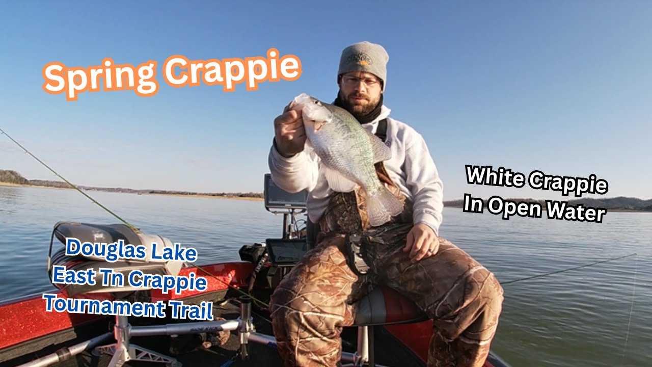 Spring Crappie | Open Water Crappie | White Crappie | Douglas Lake Crappie 2025