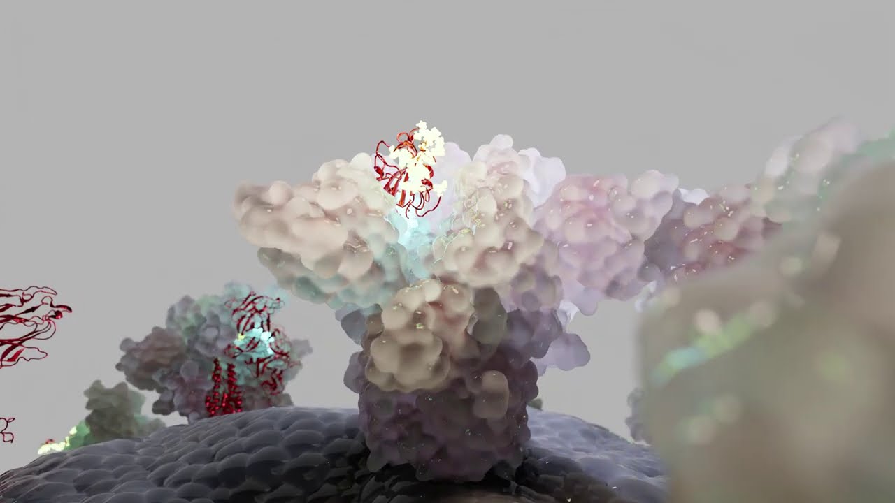 Visualizing COVID-19 Spikes in Action