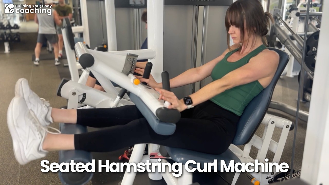 Seated Hamstring Curl Machine