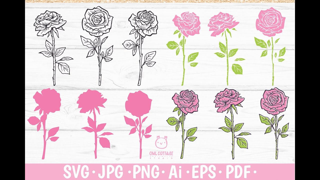 Simple ROSES Svg BUNDLE, rose svg, Rose clipart