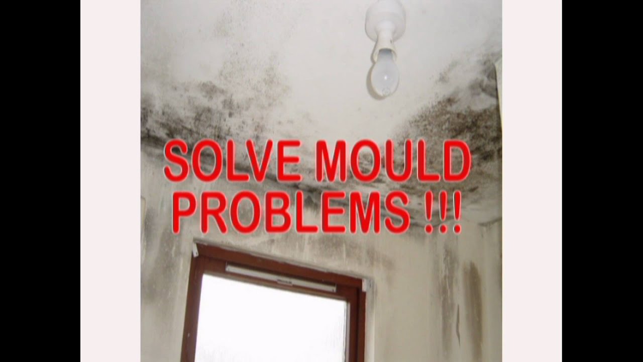Thermilate Warmcoat Paint - Cuts Room Heat Loss, Mould & Damp