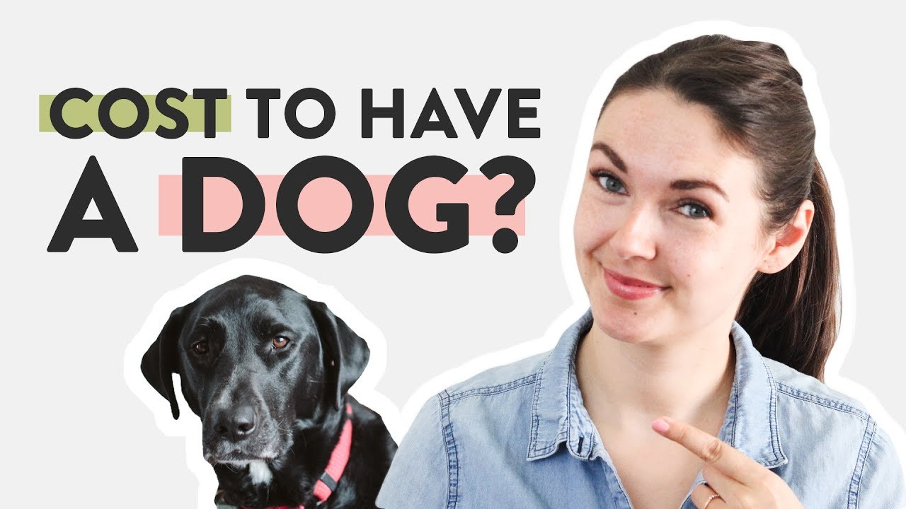 How Much Does It Cost to Have a Dog?