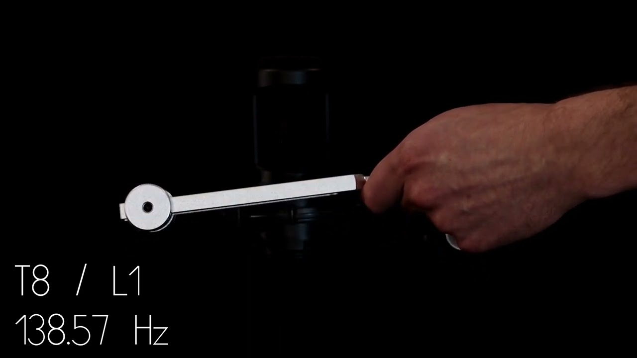Unlimited Song of the Spine Tuning Fork Set | Gongs Unlimited