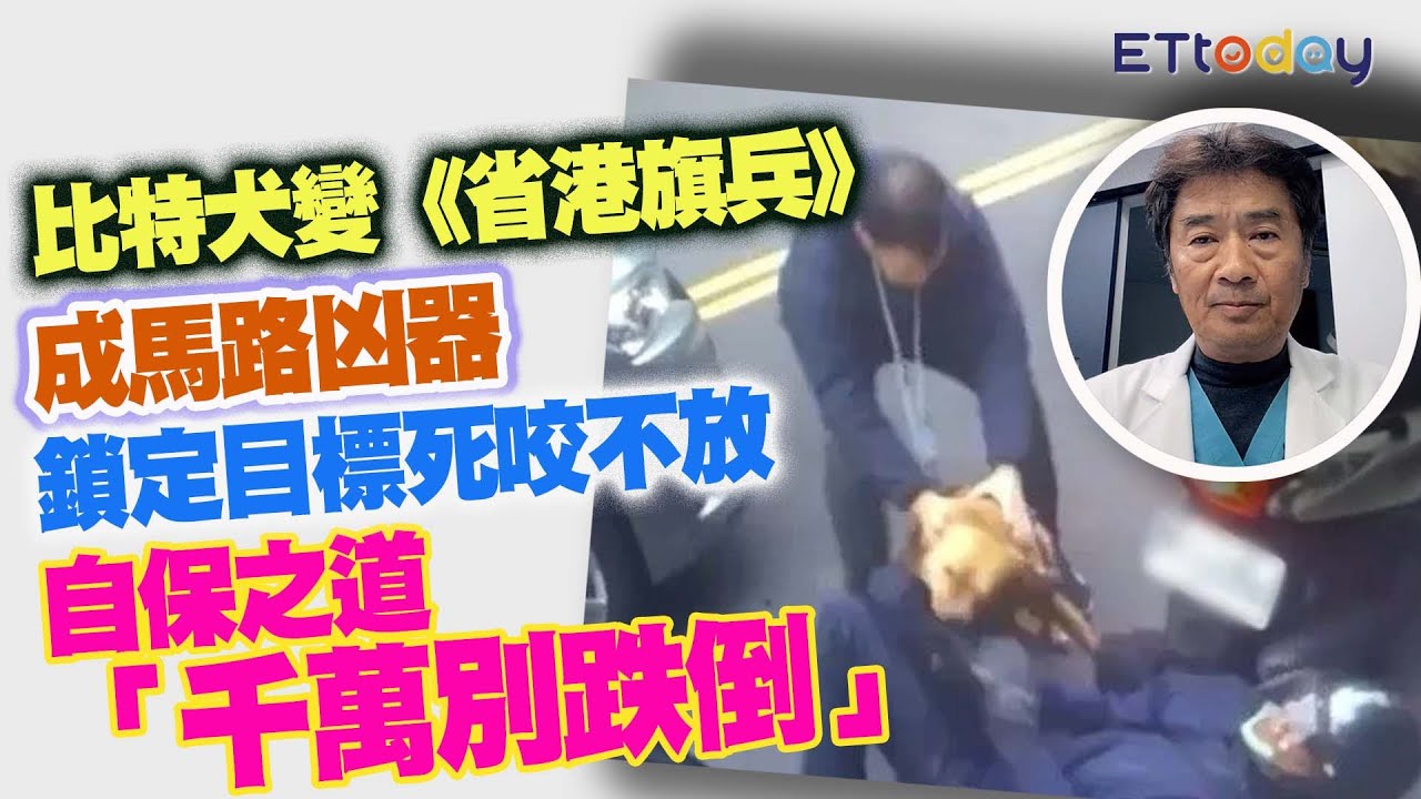 比特犬變《省港旗兵》成馬路凶器　專家指牠鎖定目標死咬不放　自保之道「千萬別跌倒」