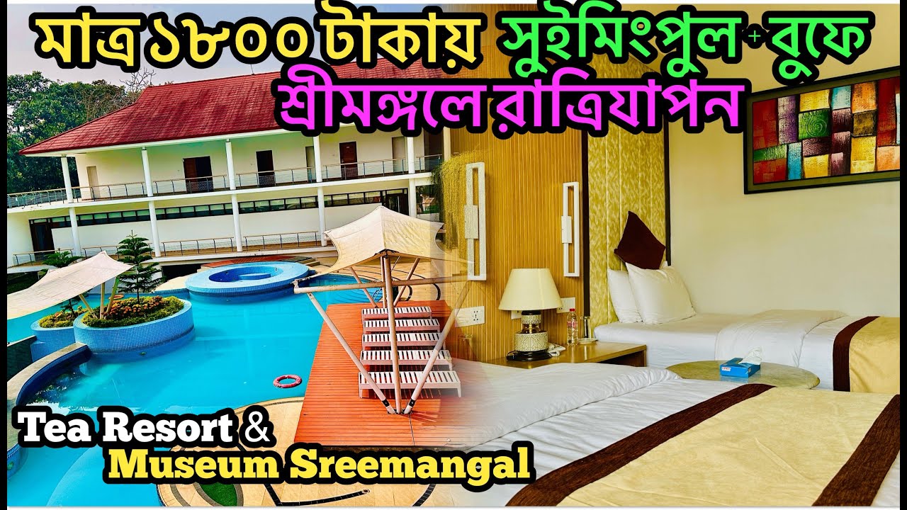 জনপ্রতি ১৮০০ টাকায় শ্রীমঙ্গলে এত কিছু - tea resort and museum | sreemangal tour - 2024 | Srimangal