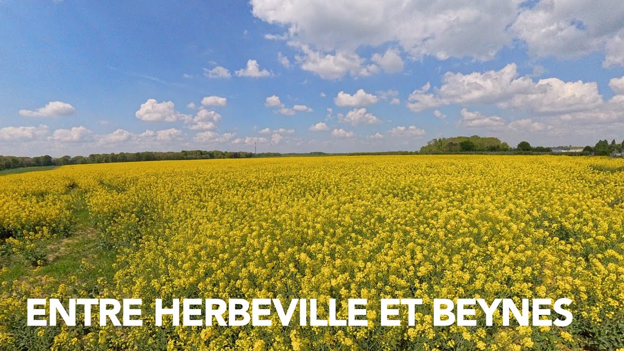 ENTRE HERBEVILLE ET BEYNES