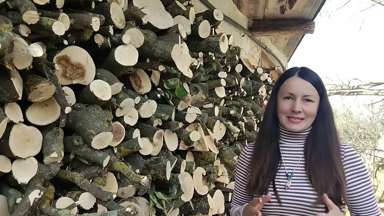 101.Теперь каждый сможет посадить дерево.  Омоложение сада на Апельсиновом🍊 Хуторе.