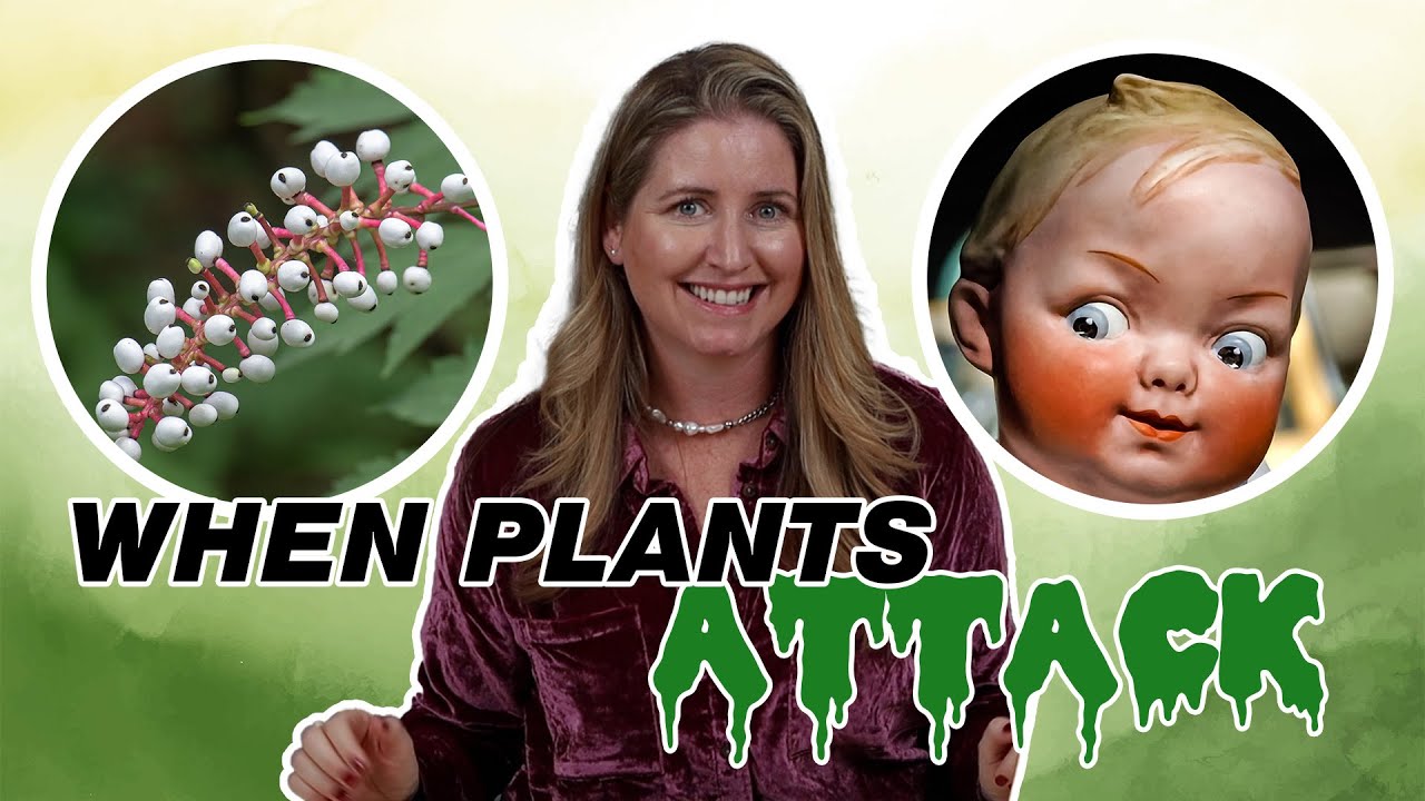 When Plants Attack!