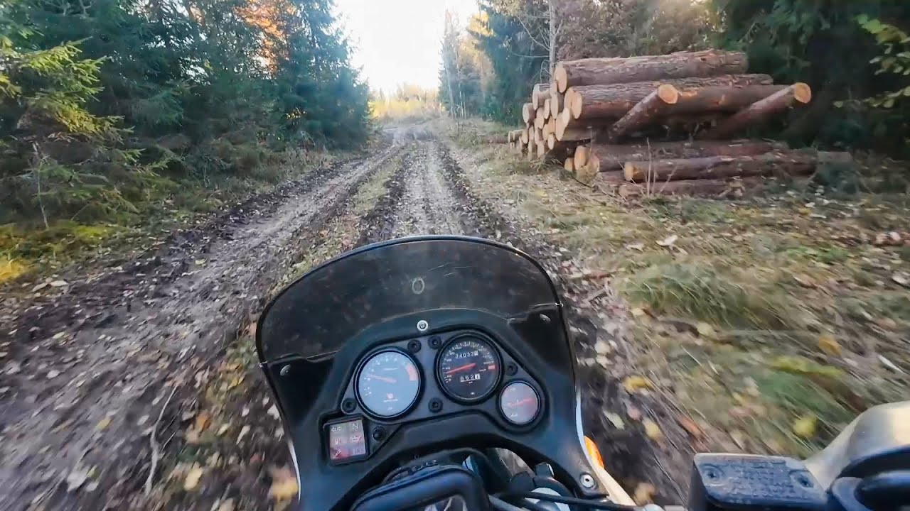 Aprilia Pegaso 650 i.e. Autumn walk / Осенняя прогулка 