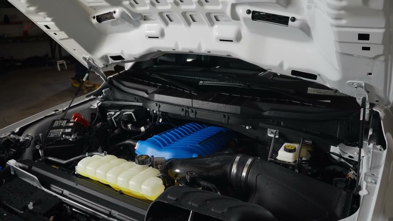 Xcentrick - Shelby F150 Super Snake