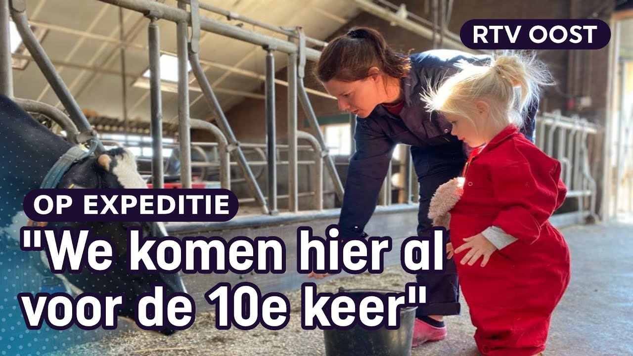 Slapen tussen de koeien bij boer Frans | RTV Oost