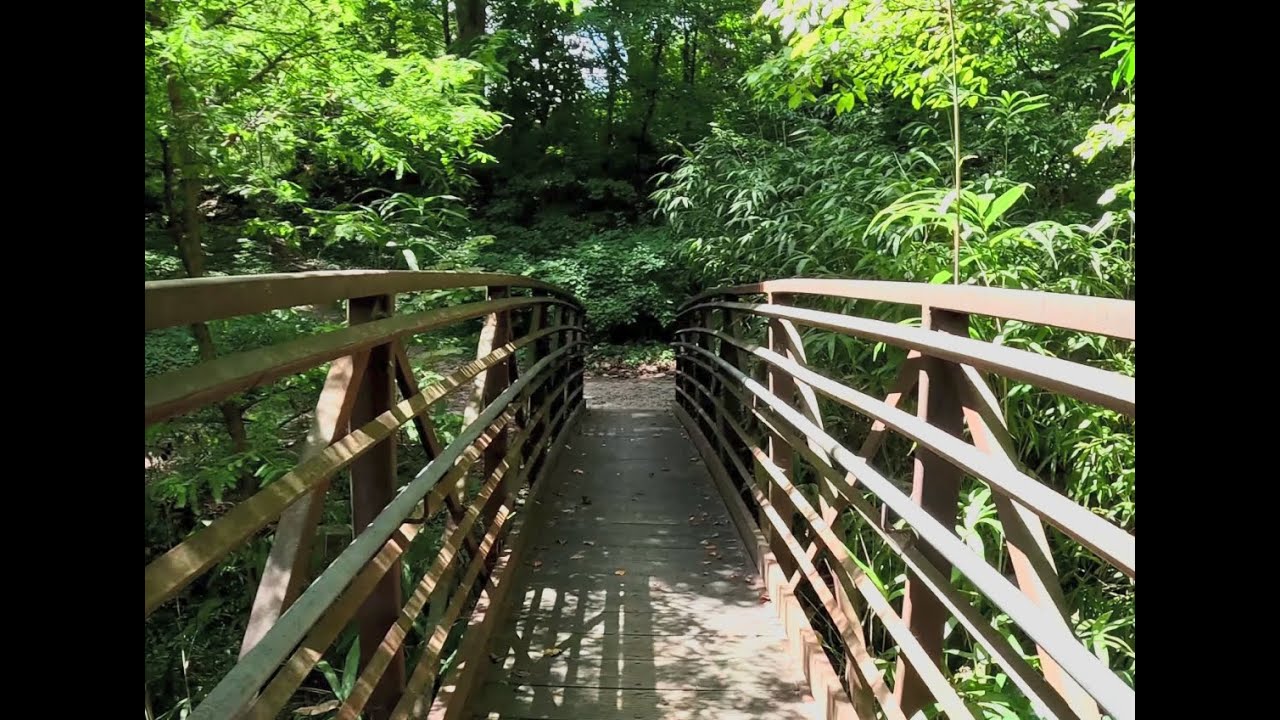 Raleigh's Open Space: Edna Metz Wells Park