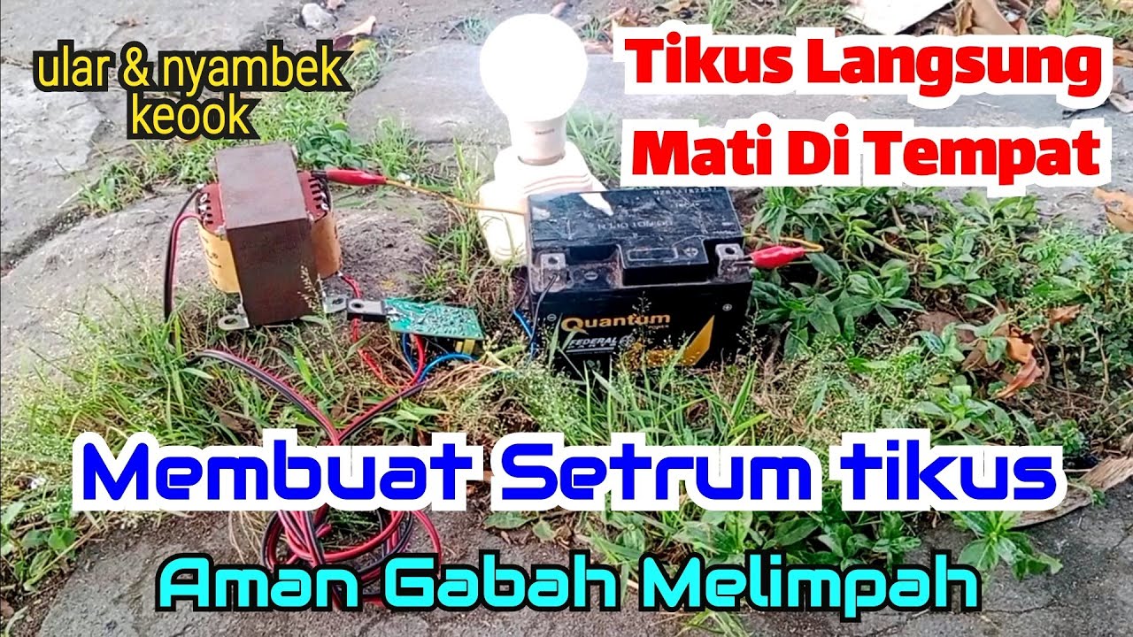 IDE LUAR BIASA..! Cara Membuat SETRUM Tikus Dari Gacun 