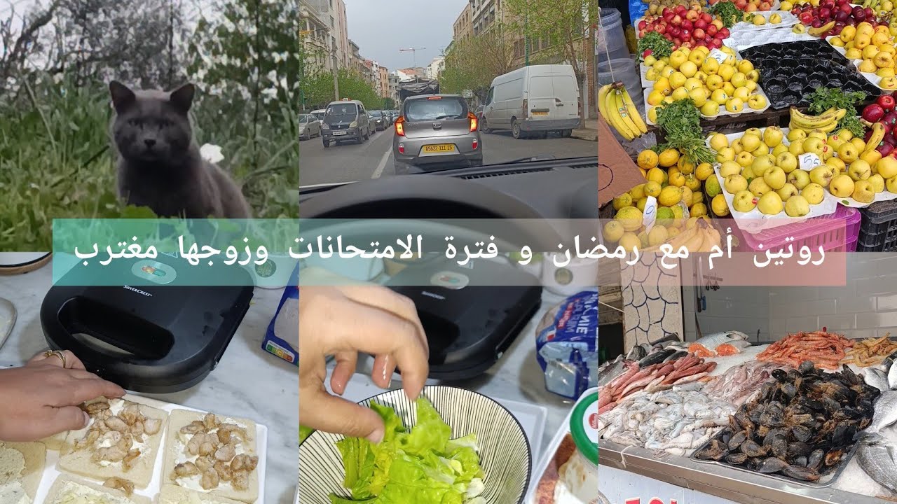 حتى مول دخل متوسط يعتبر فقير درك🥺دخلت على18h لقيتها وجدتلي وش لازم🙏نهار واعر لبارح غير جري جري 🥺