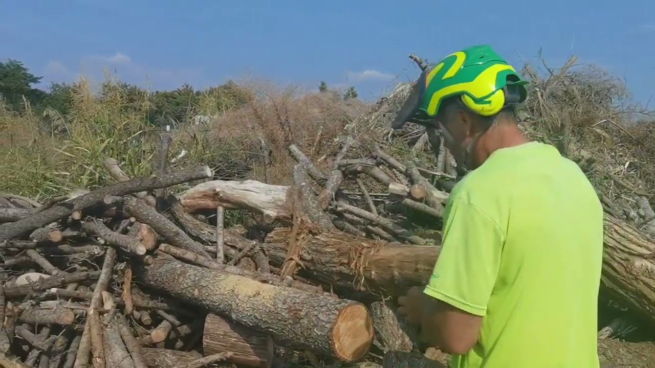 Oleomac  451/ Efco 4510 Versus Shindaiwa 431Sx/ Echo 4310Sx - video integrale