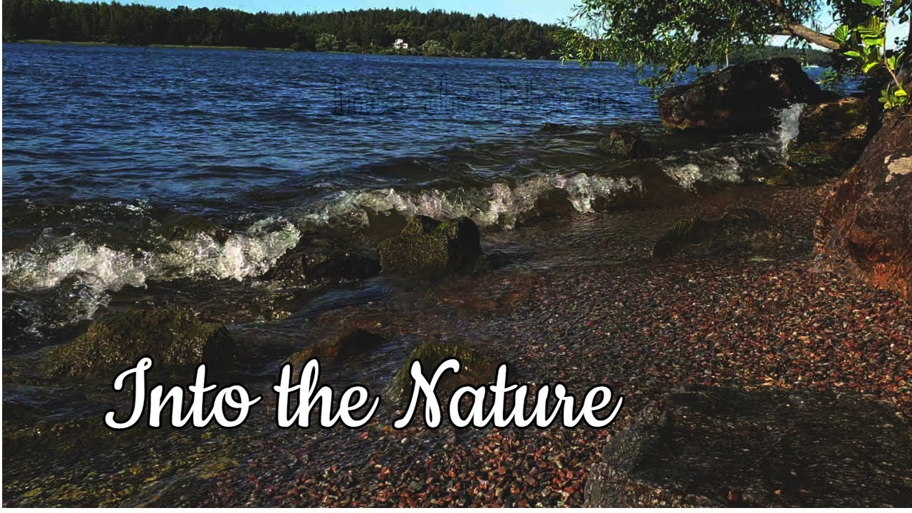 Into the nature, Lake M&auml;laren in Sweden