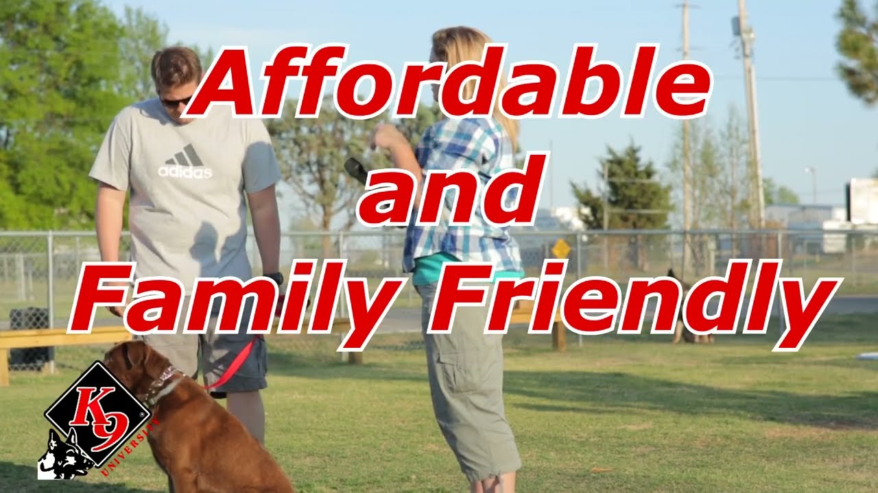 Group Obedience Classes @K9University