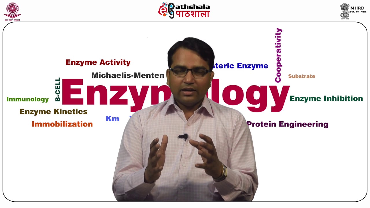 Mechanisms of action of Trypsin, Ribonuclease and carboxypeptidase