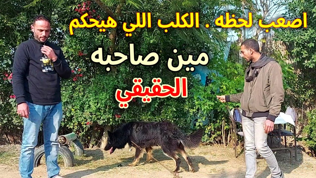وقفناهم الاثنين قدام الكلب وهو اللي اختار صاحبه