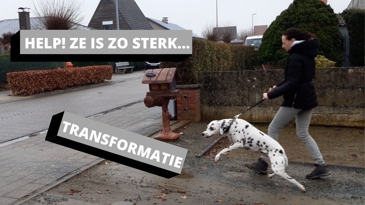 HELP! ZE IS ZO STERK - Priv&eacute; balanssessie | Leidy methode