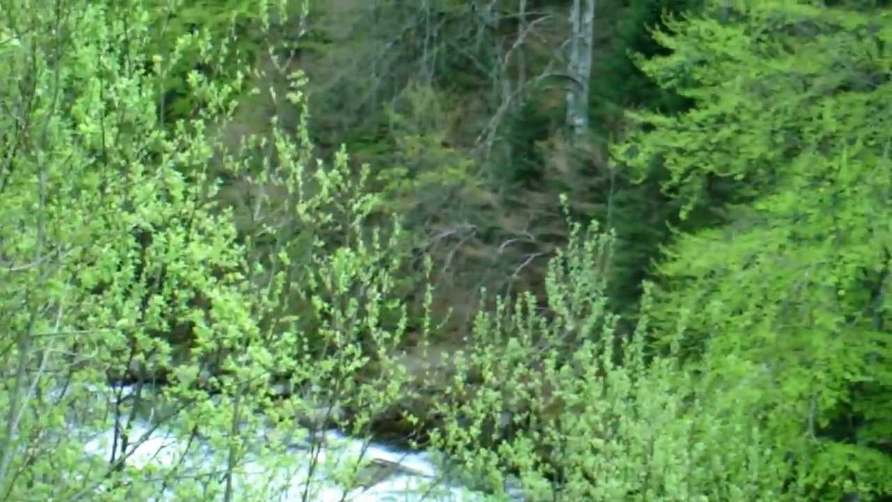 Cauterets  La Raill&egrave;re 1