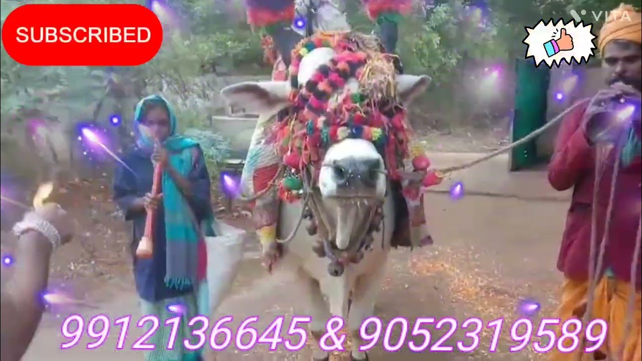 NAGU PUJA