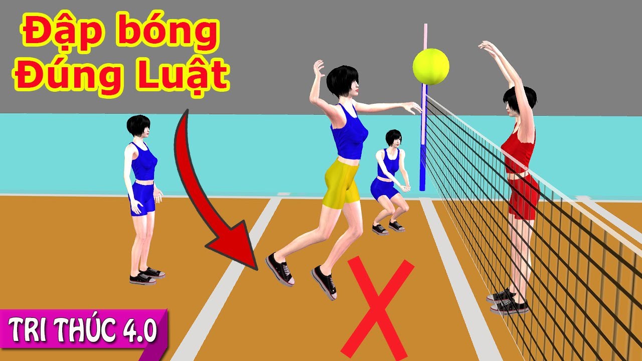 Tri Thức 4.0 | Luật Bóng Chuyền Hơi - Đánh Bóng Tấn Công Đúng Luật - Đập Bóng Trong Và Ngoài 2 mét
