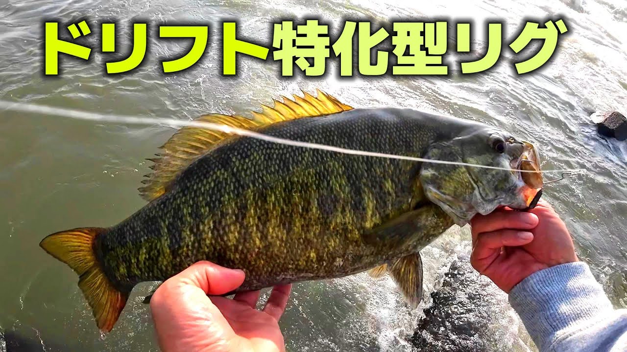 ６月以降爆効き！激流の中で綺麗に踊るリグにハマってます【バス釣り】　【川スモール】【スモールマウスバス】