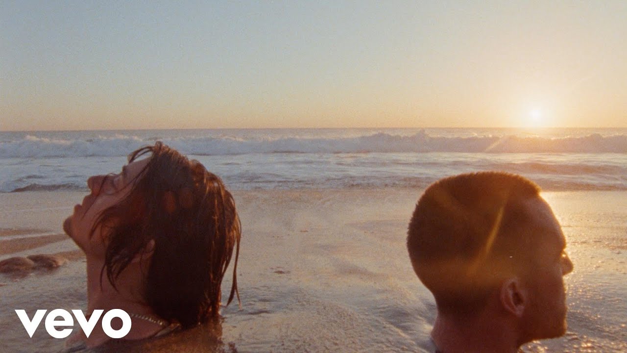 The Last Shadow Puppets - Everything You've Come To Expect (Official Video)