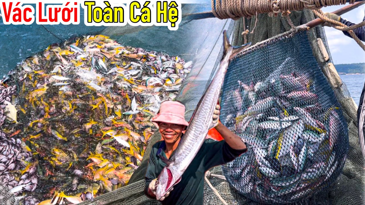 Lưới Bao Rạn 7 | V&aacute;c Lưới Ấm No To&agrave;n C&aacute; Lớn Cực Đẹp Mắt | Ch&agrave;m V&agrave;ng, Ch&agrave;m Xanh&hellip; | Sơn Ph&uacute; Quốc