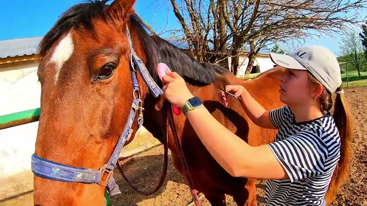 This Horse Lived in DARKNESS… Until One Day EVERYTHING Changed! 🌟🐴