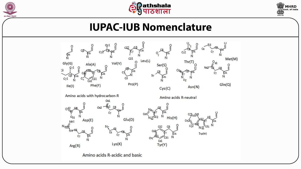 Amino acids, chirality, peptide bond and polypeptides