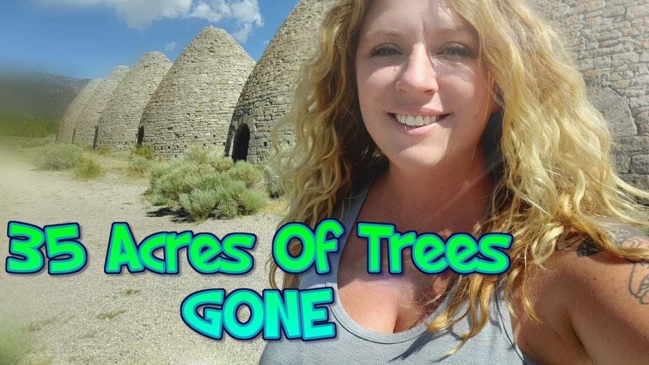Visit These Charcoal Ovens, Near Ely Nevada