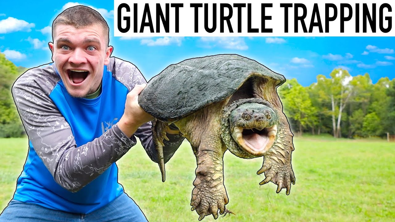 CATCHING GIGANTIC SNAPPING TURTLES! (35 Pounds)