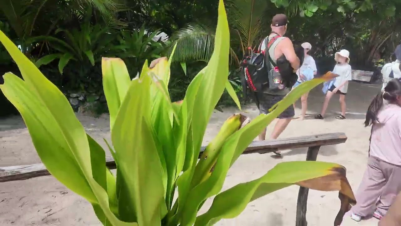 Mystery Island Vanuatu 