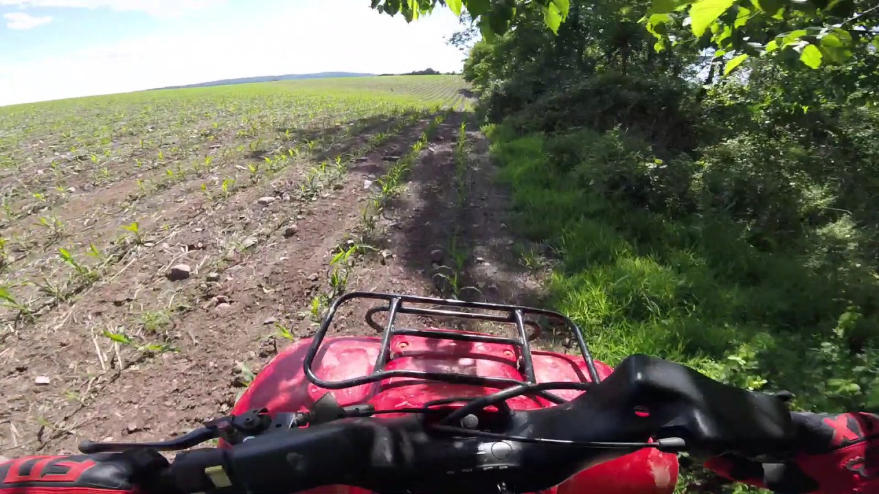 Fourtrax 200 trail riding...& Tree Removal