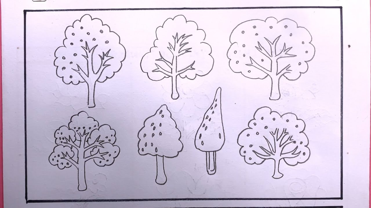 Drawing Different tree Easy/How To Draw Different Tree/Tree Drawing Easy