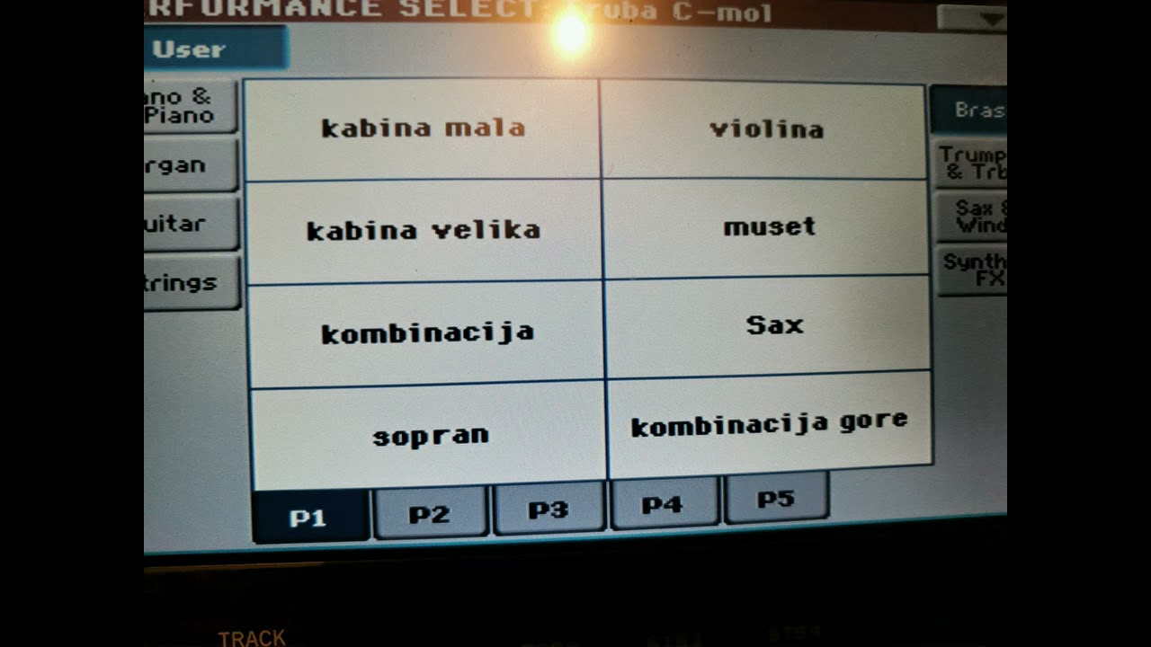 V2 Dačix set korg pa600