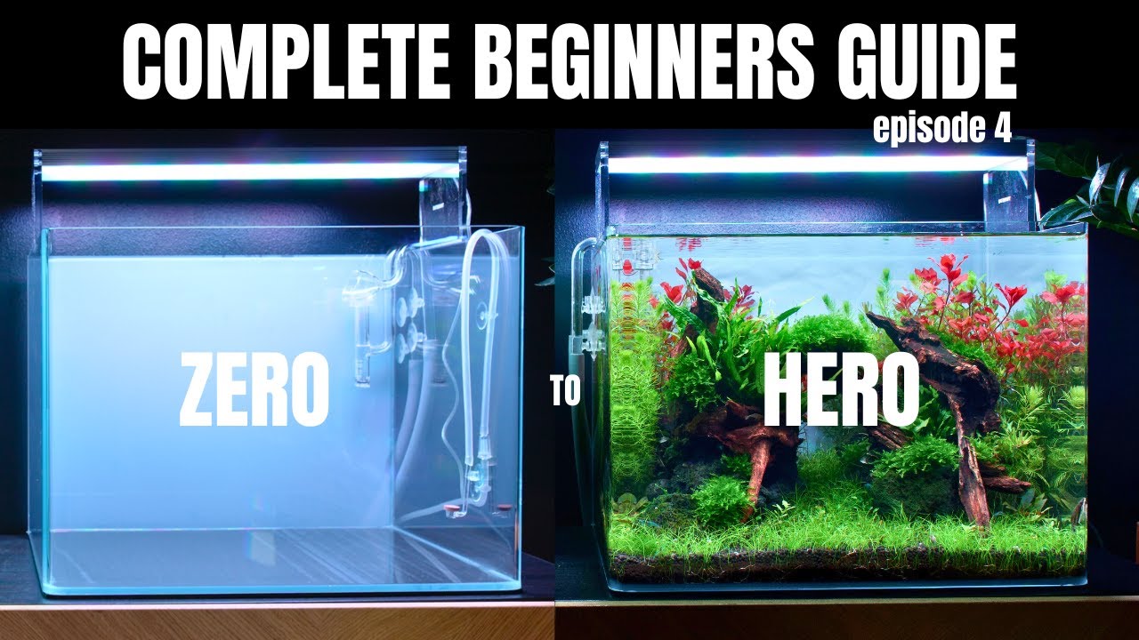 EP:4 Complete Aquascaping Beginners Guide - Planting