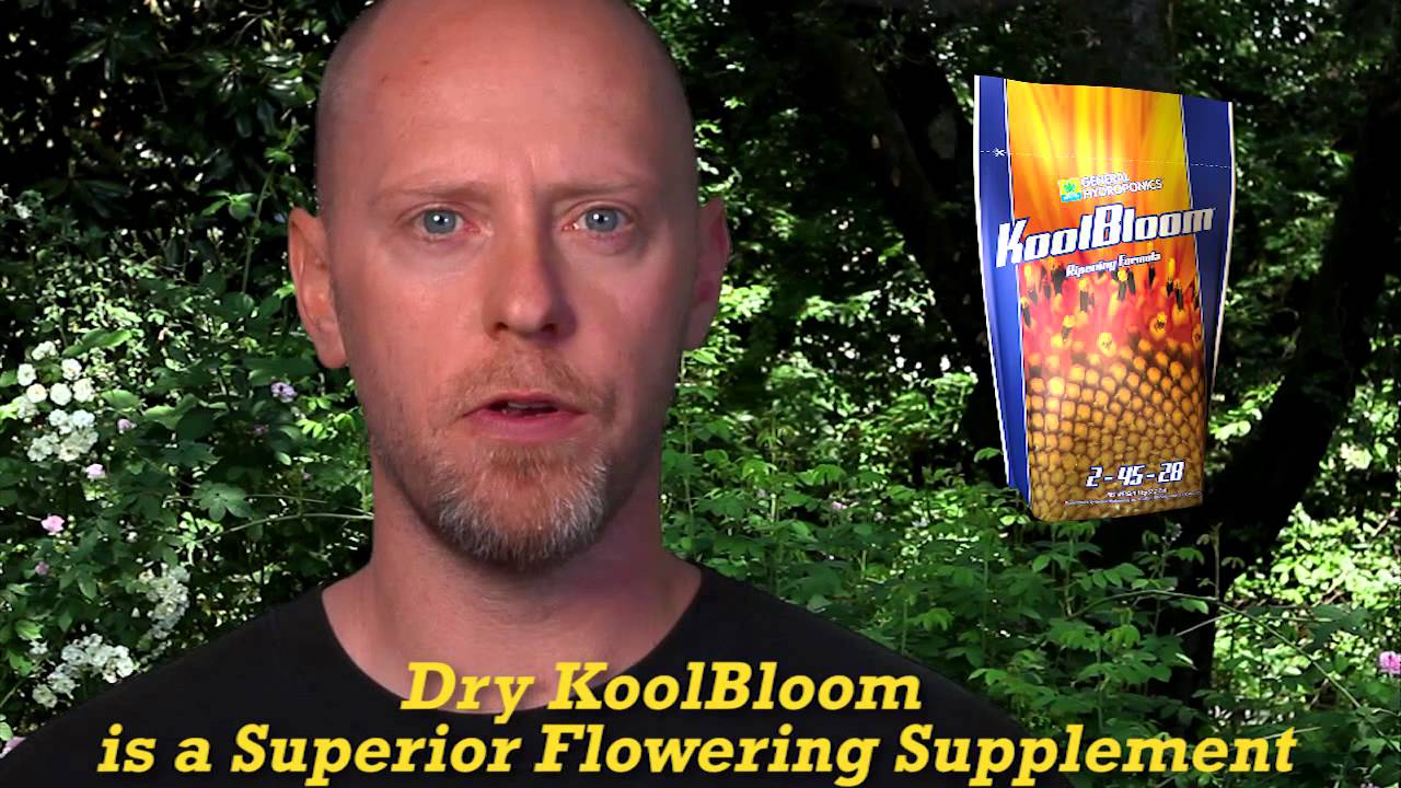 KoolBloom