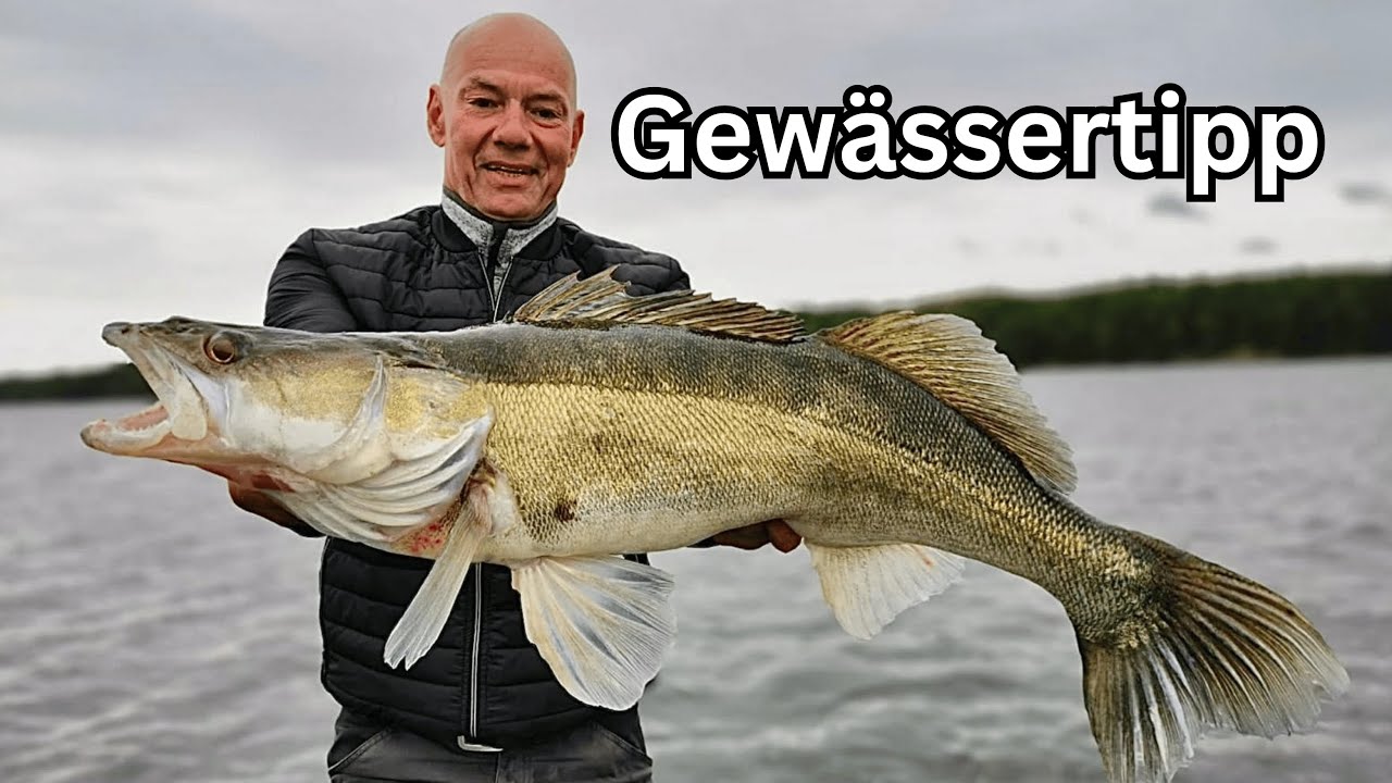 GEWÄSSERTIPP! Was fangen wir in diesem See?