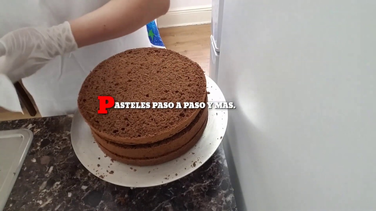 Pan esponja de chocolate,  para tres leches , selva negra, chocoleche