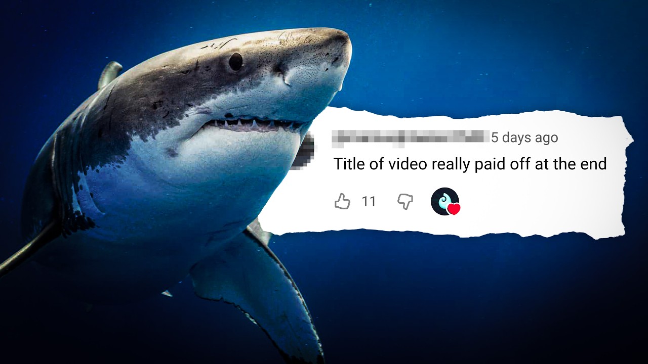 We Were Wrong About Sharks.