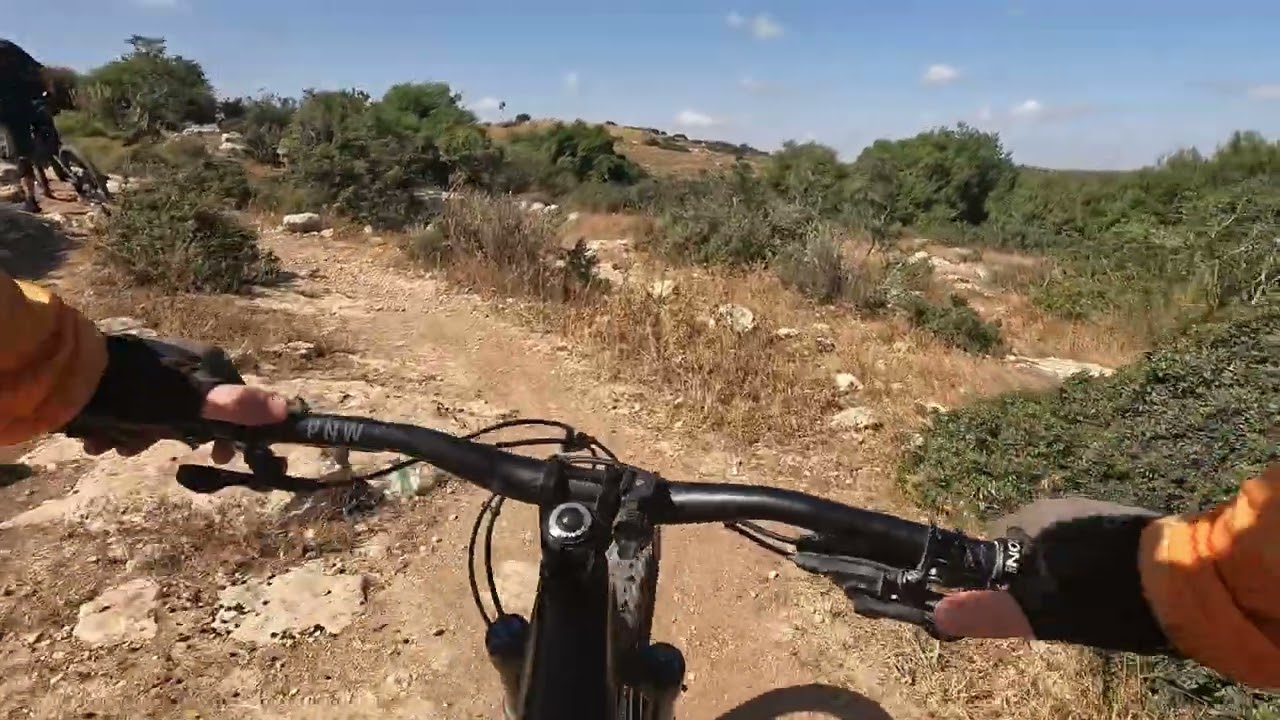 סינגל עדולם
