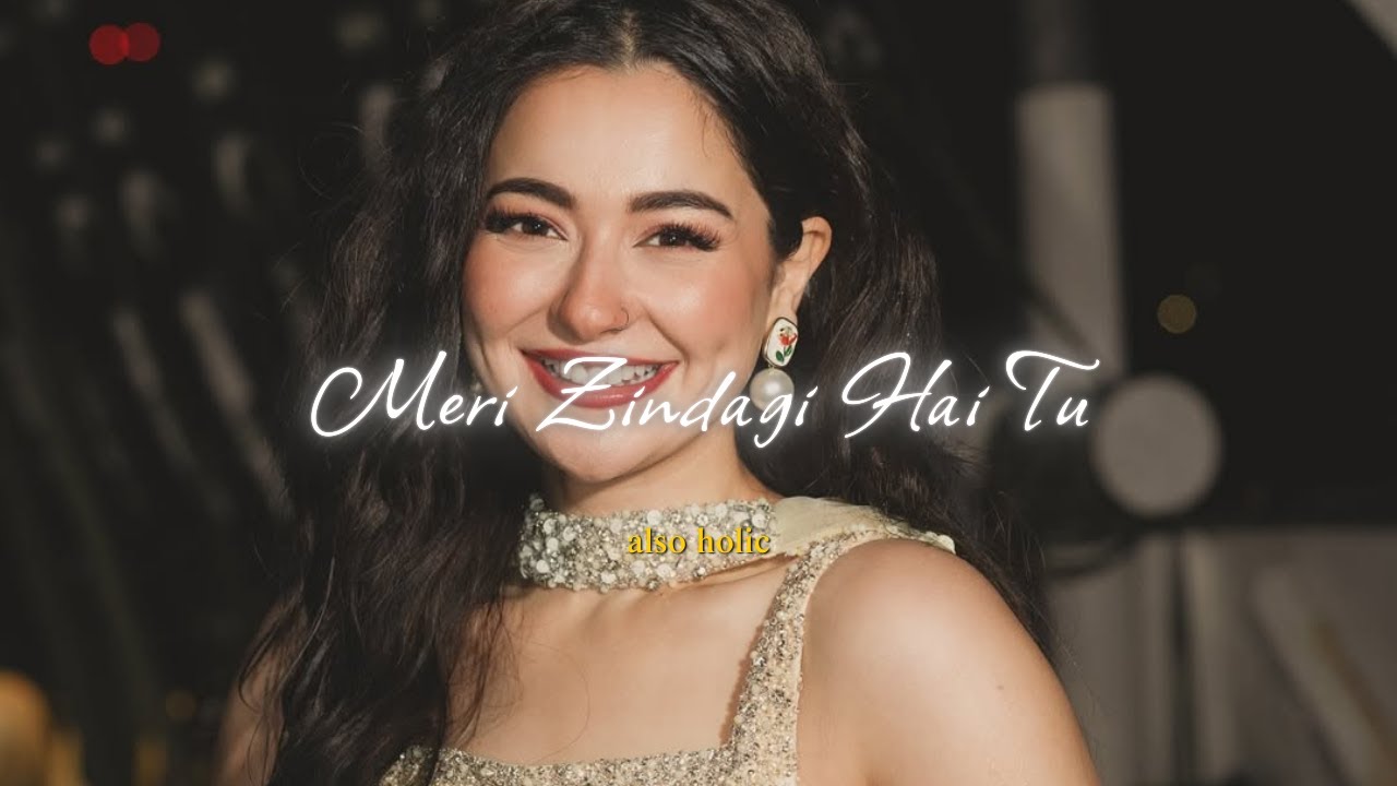 Meri Zindagi Hai Tu (Slowed + Reverb) - Asim Azhar, Sabri Sisters | Also Holic