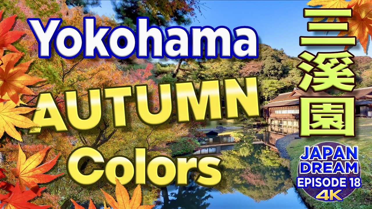 SANKEIEN Garden in YOKOHAMA! Best place for Autumn Colors!