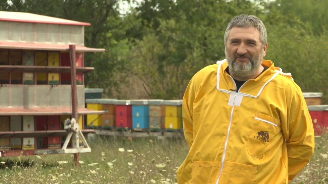 Boja meda ep. 287 05.09.2023. Razrojavanje pčela, pravovremena promena matice
